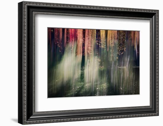 Spring Light-Ursula Abresch-Framed Photographic Print