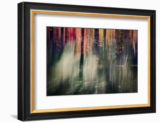 Spring Light-Ursula Abresch-Framed Photographic Print