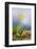 Spring Lily-Ursula Abresch-Framed Photographic Print