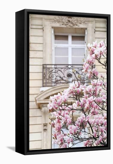 Spring Magnolias in Paris-Carina Okula-Framed Premier Image Canvas