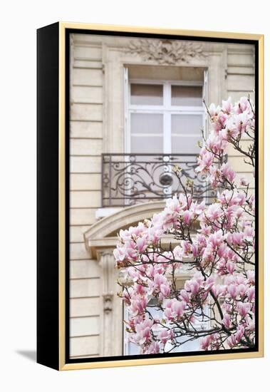 Spring Magnolias in Paris-Carina Okula-Framed Premier Image Canvas