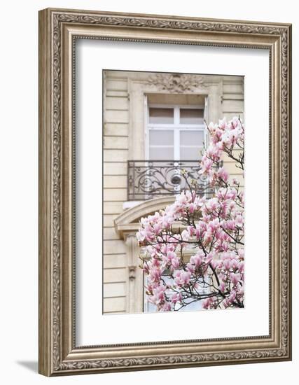 Spring Magnolias in Paris-Carina Okula-Framed Photographic Print