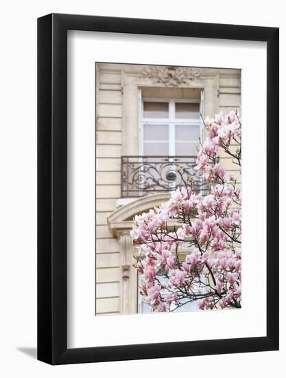 Spring Magnolias in Paris-Carina Okula-Framed Photographic Print