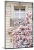 Spring Magnolias in Paris-Carina Okula-Mounted Photographic Print