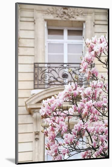 Spring Magnolias in Paris-Carina Okula-Mounted Photographic Print
