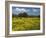 Spring Meadow, Near Limassol, Cyprus, Europe-Stuart Black-Framed Photographic Print