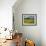 Spring Meadow, Near Limassol, Cyprus, Europe-Stuart Black-Framed Photographic Print displayed on a wall
