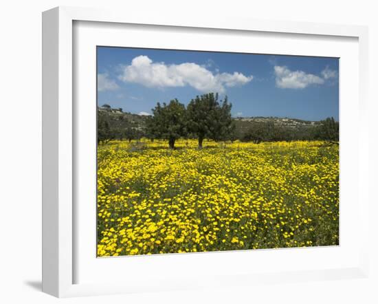 Spring Meadow, Near Limassol, Cyprus, Europe-Stuart Black-Framed Photographic Print