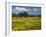 Spring Meadow, Near Limassol, Cyprus, Europe-Stuart Black-Framed Photographic Print