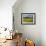 Spring Meadow, Near Limassol, Cyprus, Europe-Stuart Black-Framed Photographic Print displayed on a wall