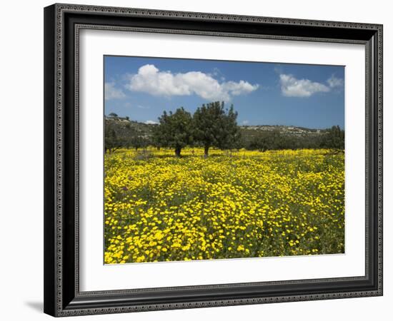 Spring Meadow, Near Limassol, Cyprus, Europe-Stuart Black-Framed Photographic Print