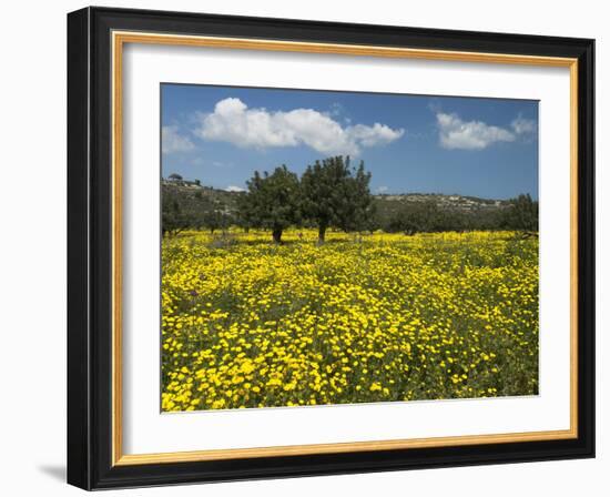 Spring Meadow, Near Limassol, Cyprus, Europe-Stuart Black-Framed Photographic Print