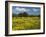 Spring Meadow, Near Limassol, Cyprus, Europe-Stuart Black-Framed Photographic Print