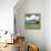 Spring Meadow Study I-Victoria Barnes-Framed Stretched Canvas displayed on a wall