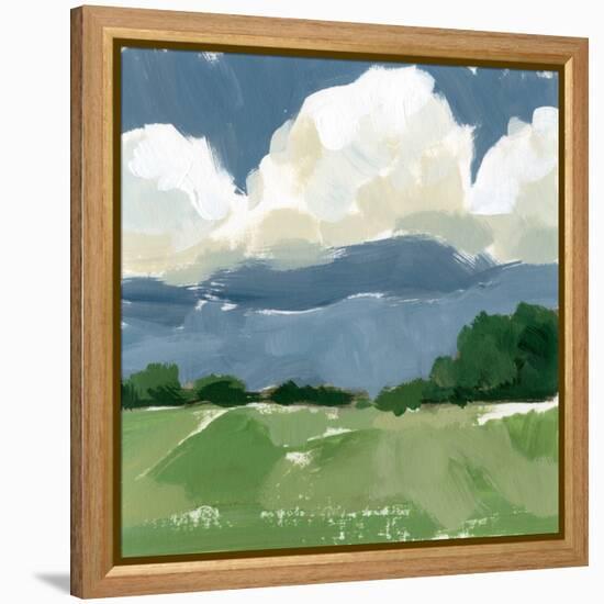 Spring Meadow Study I-Victoria Barnes-Framed Stretched Canvas