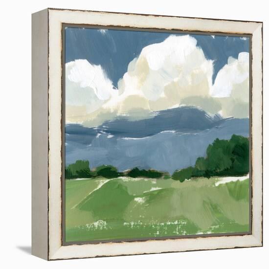 Spring Meadow Study I-Victoria Barnes-Framed Stretched Canvas