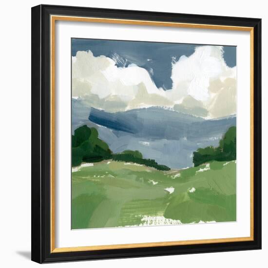 Spring Meadow Study III-Victoria Barnes-Framed Art Print