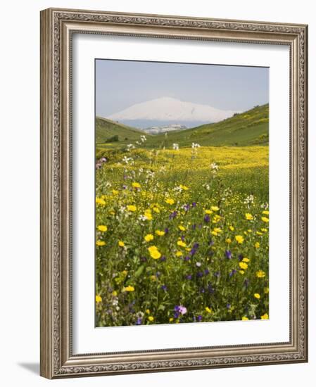 Spring Meadow with Snow Covered Mount Etna in Distance, Sicily, Italy, Europe-Martin Child-Framed Photographic Print