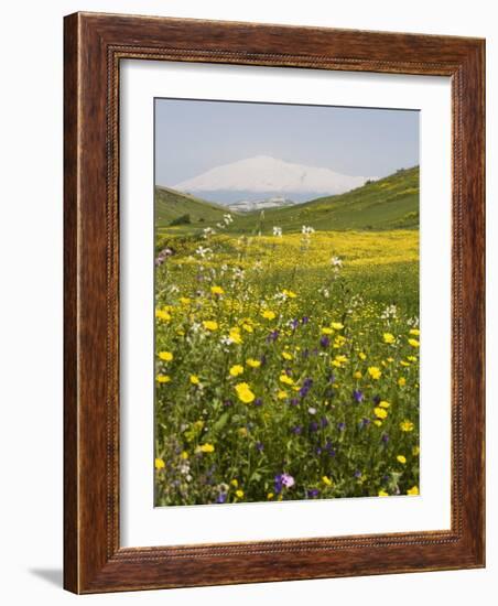 Spring Meadow with Snow Covered Mount Etna in Distance, Sicily, Italy, Europe-Martin Child-Framed Photographic Print