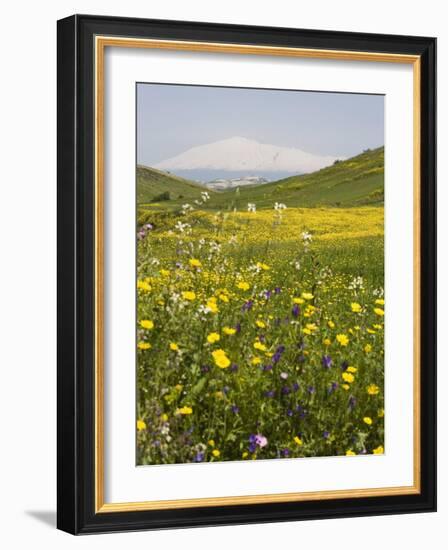 Spring Meadow with Snow Covered Mount Etna in Distance, Sicily, Italy, Europe-Martin Child-Framed Photographic Print