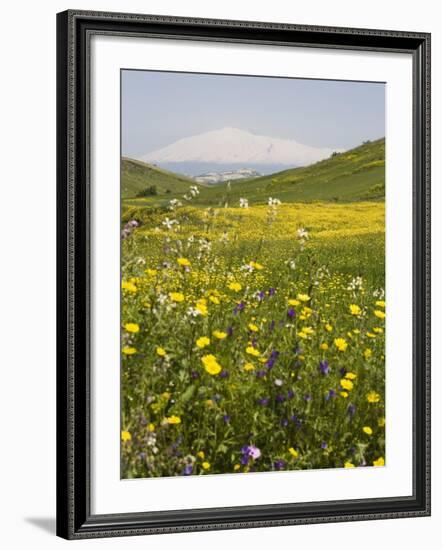 Spring Meadow with Snow Covered Mount Etna in Distance, Sicily, Italy, Europe-Martin Child-Framed Photographic Print