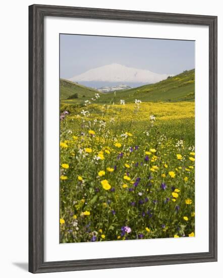 Spring Meadow with Snow Covered Mount Etna in Distance, Sicily, Italy, Europe-Martin Child-Framed Photographic Print