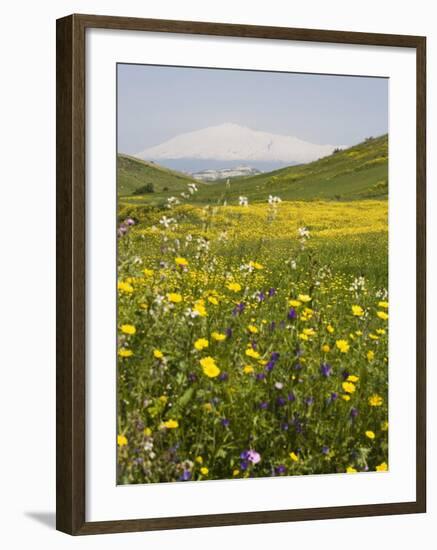 Spring Meadow with Snow Covered Mount Etna in Distance, Sicily, Italy, Europe-Martin Child-Framed Photographic Print