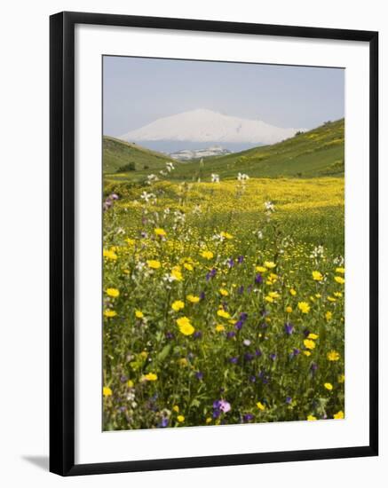 Spring Meadow with Snow Covered Mount Etna in Distance, Sicily, Italy, Europe-Martin Child-Framed Photographic Print