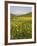 Spring Meadow with Snow Covered Mount Etna in Distance, Sicily, Italy, Europe-Martin Child-Framed Photographic Print