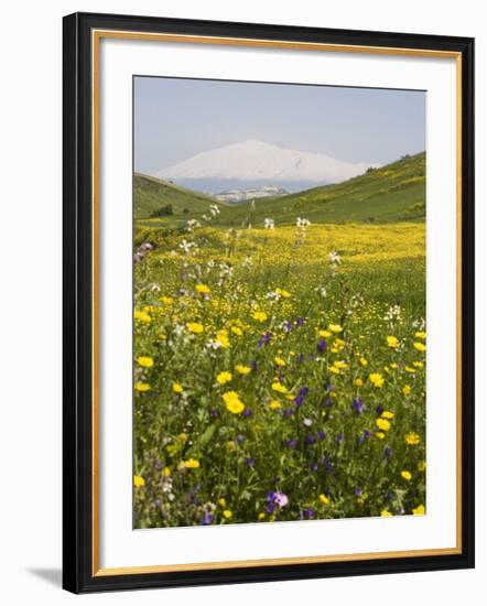 Spring Meadow with Snow Covered Mount Etna in Distance, Sicily, Italy, Europe-Martin Child-Framed Photographic Print