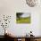 Spring Meadow with Snow Covered Mount Etna in Distance, Sicily, Italy, Europe-Martin Child-Photographic Print displayed on a wall