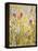 Spring Medley-Jill Martin-Framed Stretched Canvas