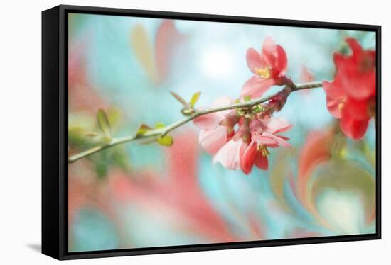 Spring Melody In Blue-Viviane Fedieu Daniel-Framed Stretched Canvas