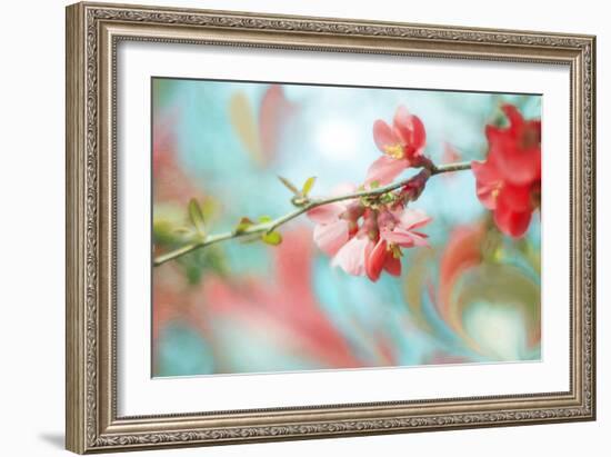 Spring Melody In Blue-Viviane Fedieu Daniel-Framed Photographic Print