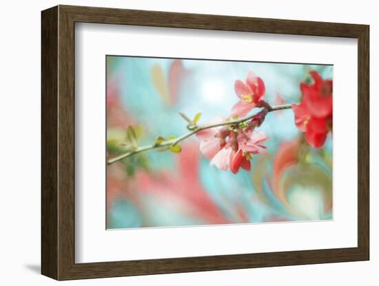 Spring Melody In Blue-Viviane Fedieu Daniel-Framed Photographic Print