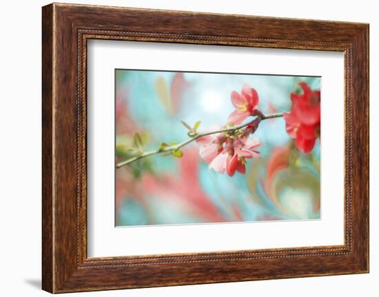 Spring Melody In Blue-Viviane Fedieu Daniel-Framed Photographic Print