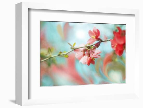 Spring Melody In Blue-Viviane Fedieu Daniel-Framed Photographic Print