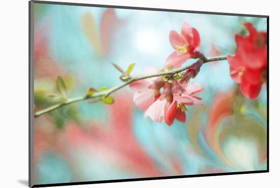 Spring Melody In Blue-Viviane Fedieu Daniel-Mounted Photographic Print