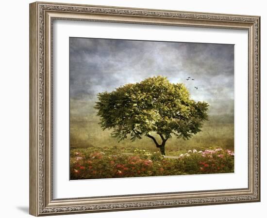 Spring Mimosa-Jessica Jenney-Framed Photographic Print
