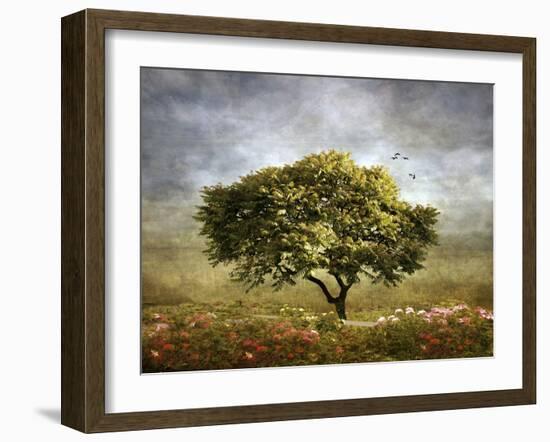 Spring Mimosa-Jessica Jenney-Framed Photographic Print