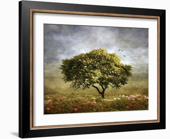 Spring Mimosa-Jessica Jenney-Framed Photographic Print