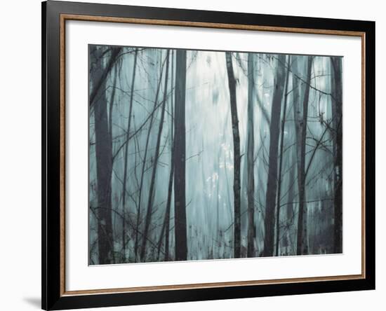 Spring Mist I-Marvin Pelkey-Framed Art Print