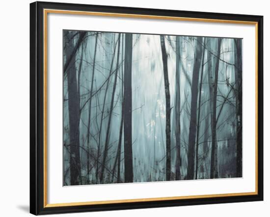 Spring Mist I-Marvin Pelkey-Framed Art Print