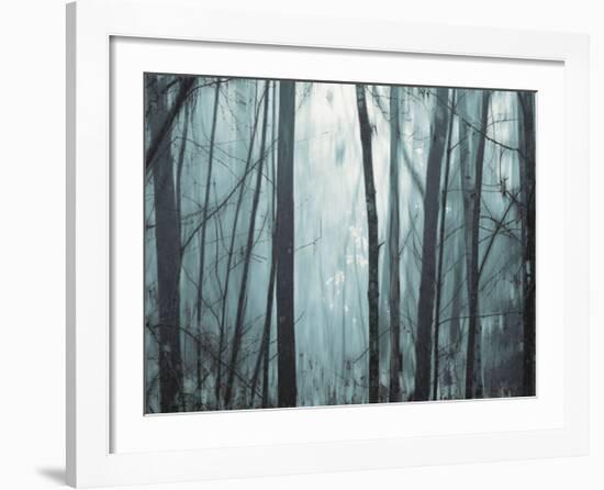 Spring Mist I-Marvin Pelkey-Framed Art Print