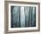 Spring Mist I-Marvin Pelkey-Framed Giclee Print