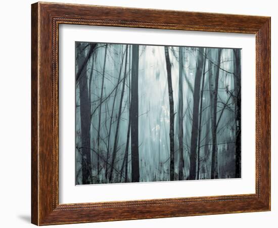 Spring Mist I-Marvin Pelkey-Framed Giclee Print