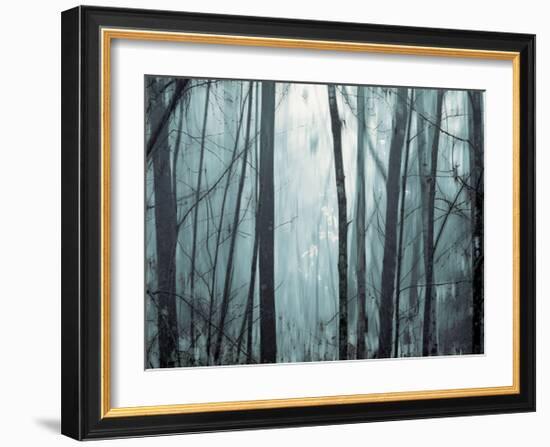 Spring Mist I-Marvin Pelkey-Framed Giclee Print