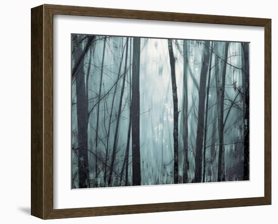 Spring Mist I-Marvin Pelkey-Framed Giclee Print