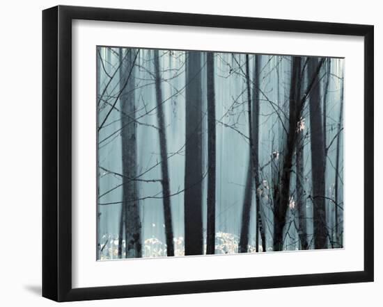 Spring Mist II-Marvin Pelkey-Framed Giclee Print