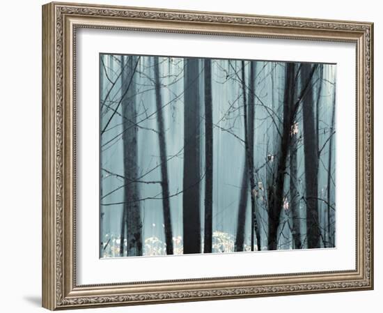 Spring Mist II-Marvin Pelkey-Framed Giclee Print